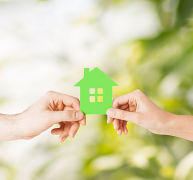 <b>壳粉这个初生的向阳</b>